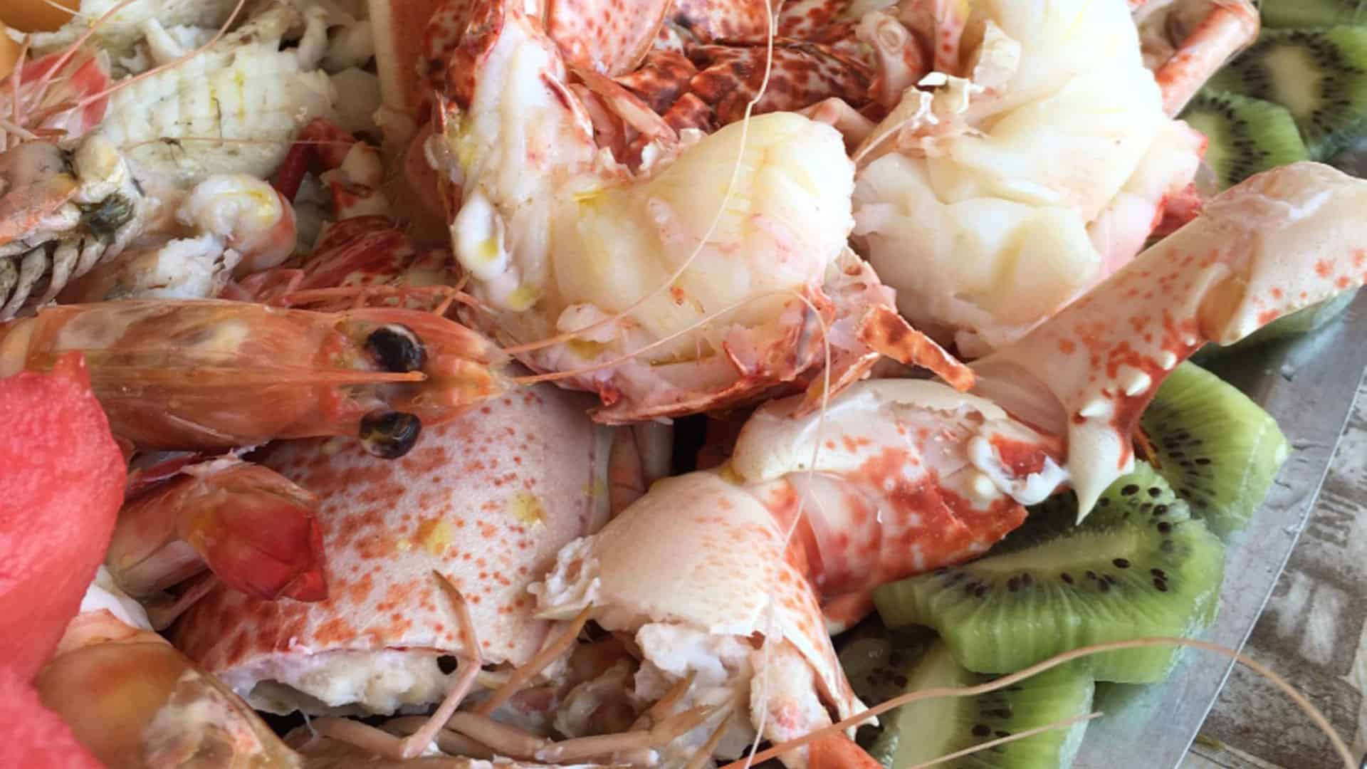Il Cavalluccio Marino Vada
